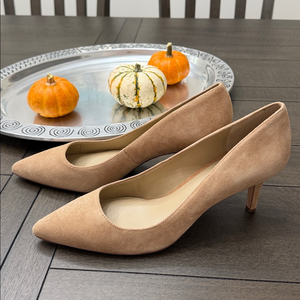 NWT Women's Ann Taylor Eryn Suede Pump in Spiced Chai color,  size 10